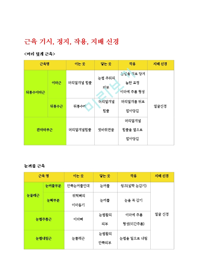 [물리치료 족보] 교재 근육 기시, 정지, 작용, 신경2 (2).hwp